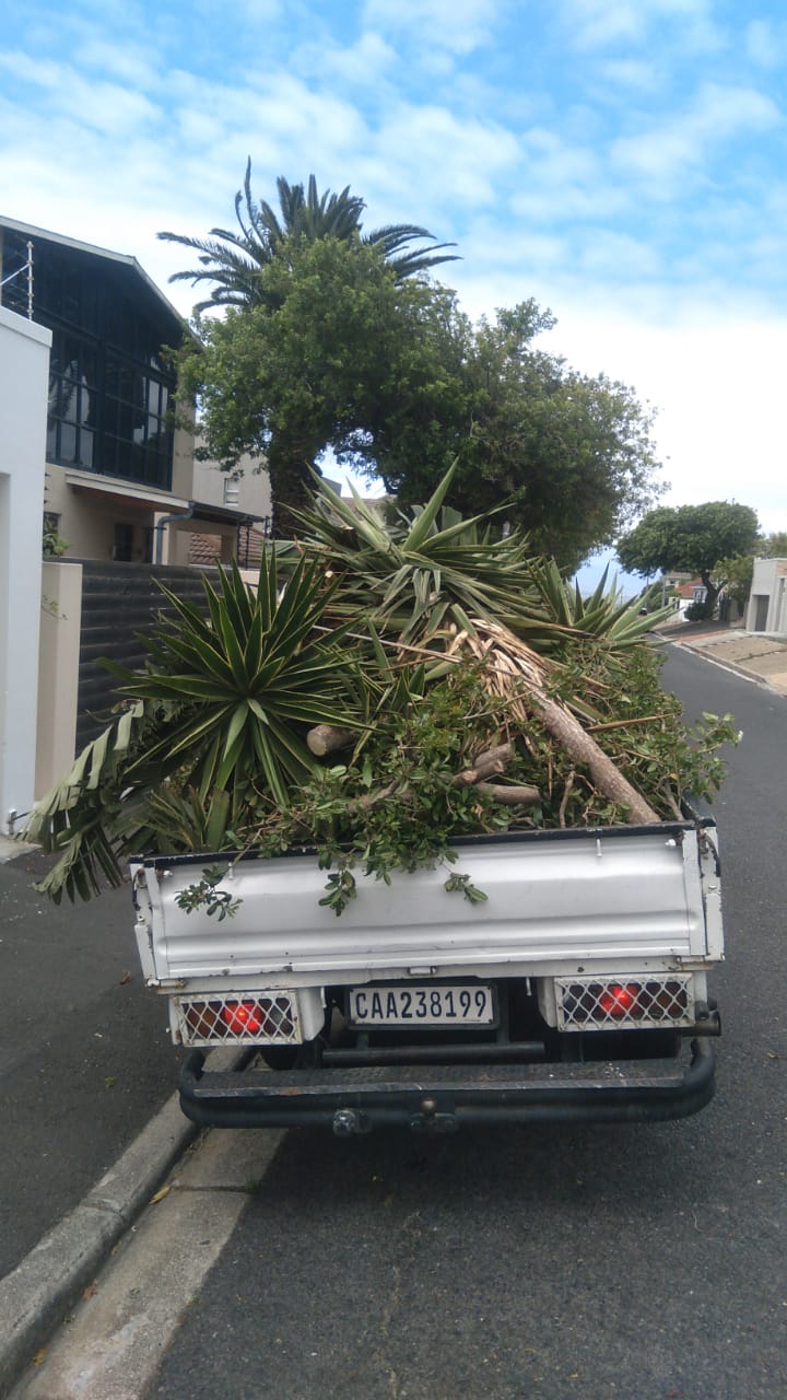 Junk Removal Project