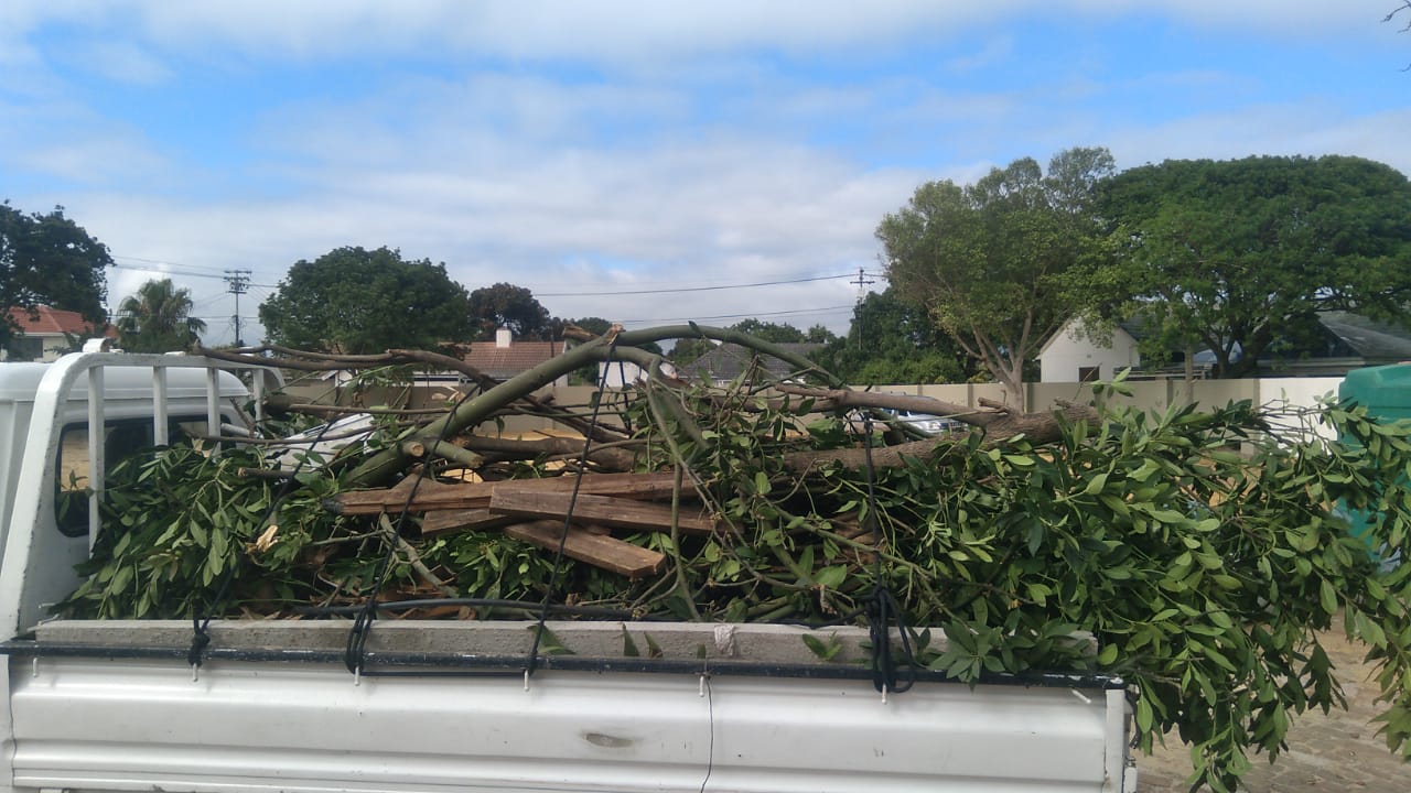 Junk Removal Service